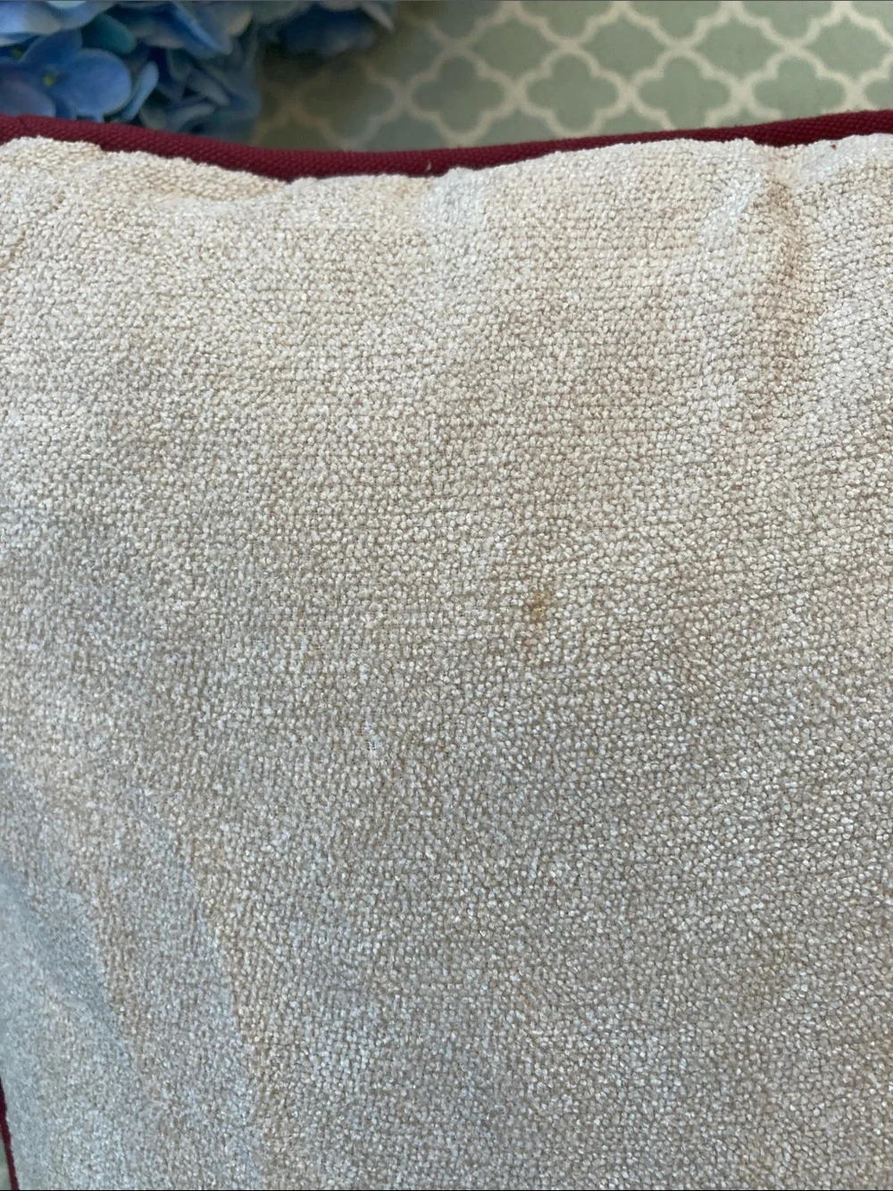 Hello Fall Raccoon Dangle Leg Square Appliquéd Pillow